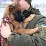 Сумські гвардійці-кінологи провели практичний тренінг з дресирування службових собак