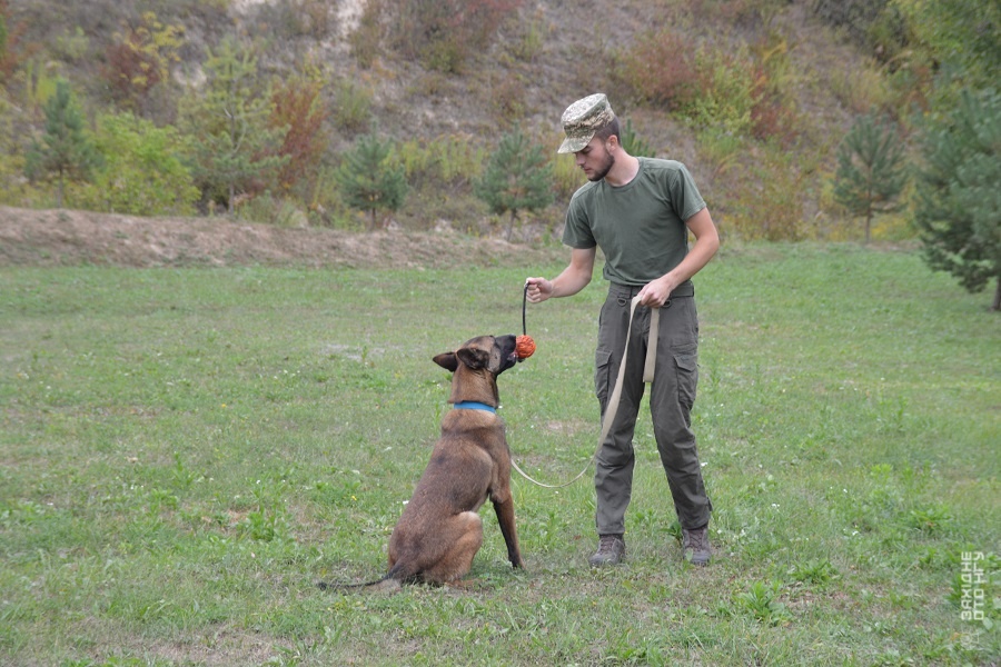 DSC_0504