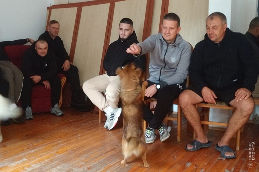 Зображення WhatsApp, дата_ 2024-10-07 о 20.47.09_1f8f3dea