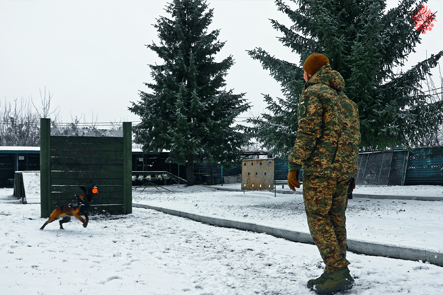 Без назви-1 (кастом)