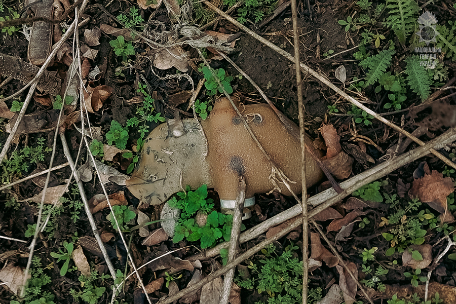ВНП (21)