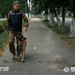 Службові собаки Національної гвардії України вдосконалюють навички пошуку небезпечних предметів