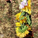 Нацгвардійці в різних регіонах України вшанували пам’ять полеглих захисників