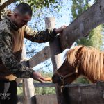 Декомпресія через спілкування з кіньми: як відновлюються гвардійці 31 полку